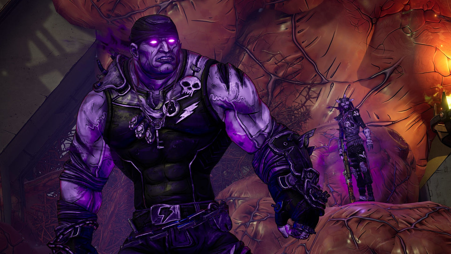 Borderlands 3: Psycho Krieg and the Fantastic Fustercluck (PC) - Epic Games Key