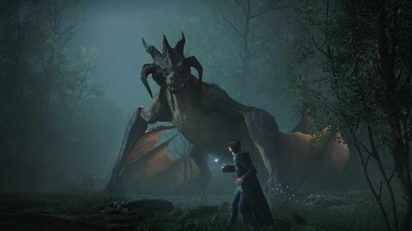 Zestaw Dziedzictwo Hogwartu + Harry Potter: Mistrzowie Quidditcha Edycje Deluxe – klucz Xbox Live