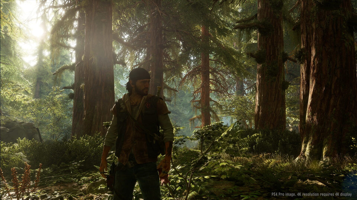 Days Gone (PC) - Steam Klíč – herní záběr (3)