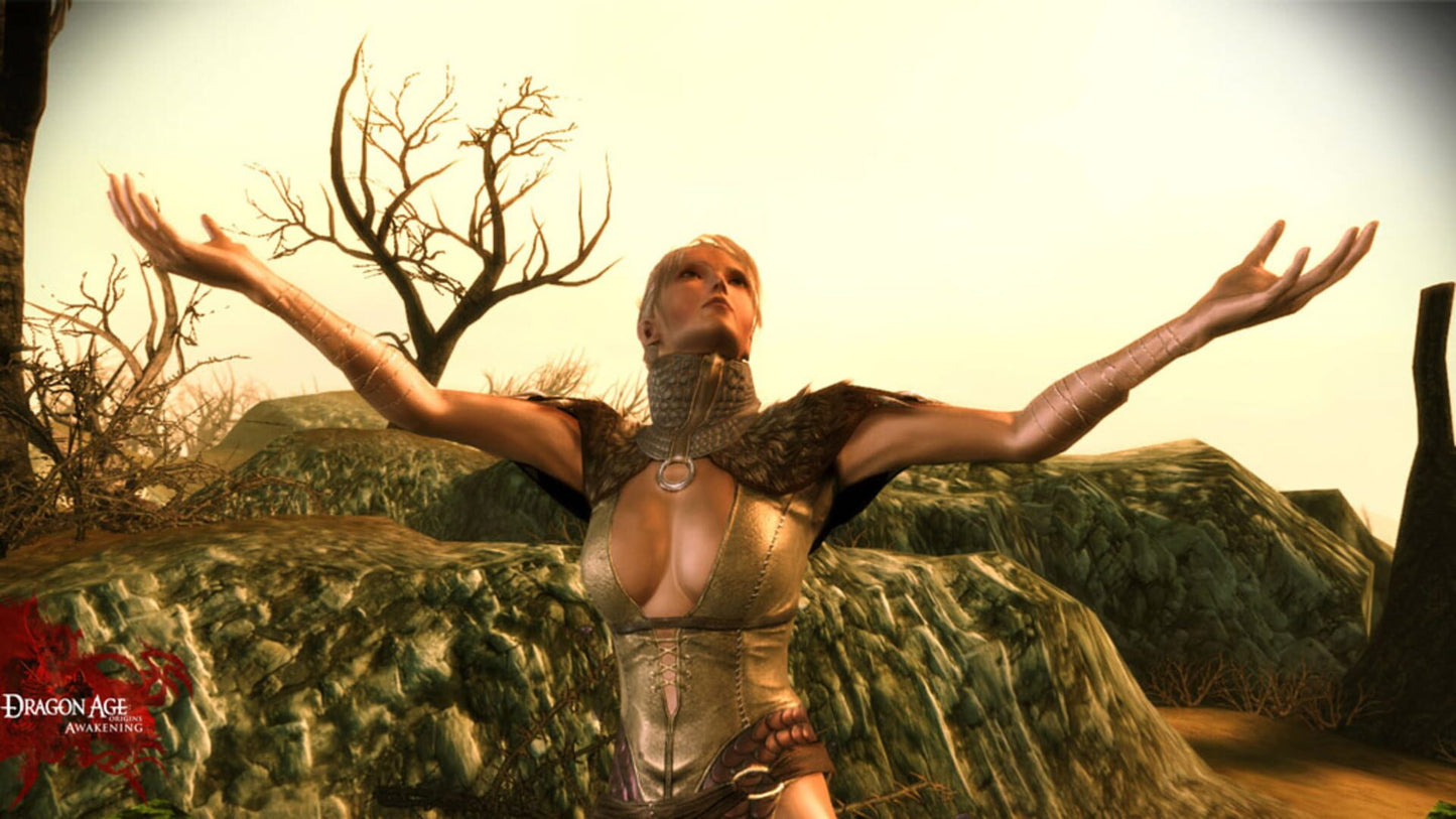 IGDB screenshot: Dragon Age: Origins - Awakening (5)