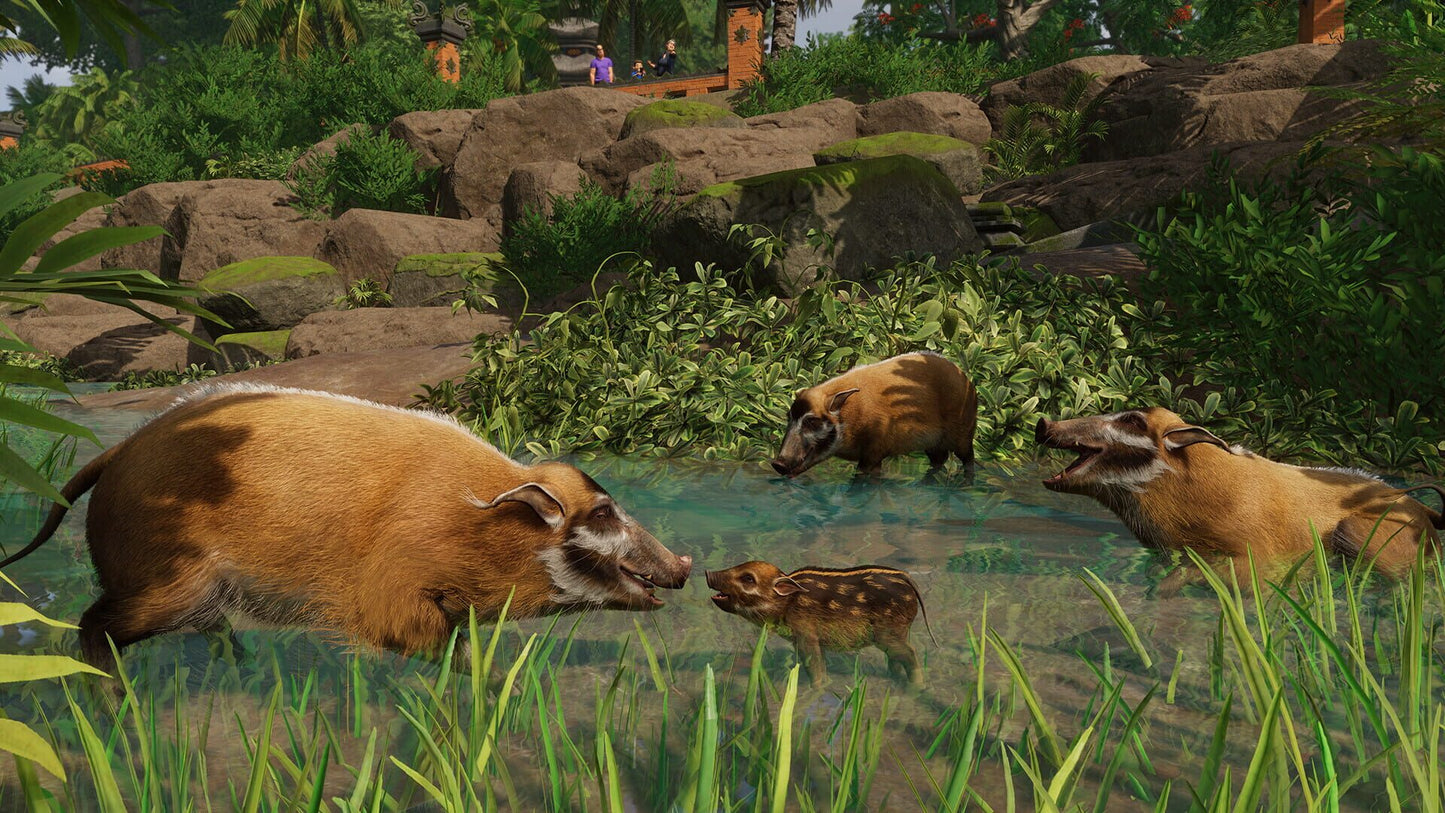 IGDB screenshot: Planet Zoo: Tropical Pack (2)