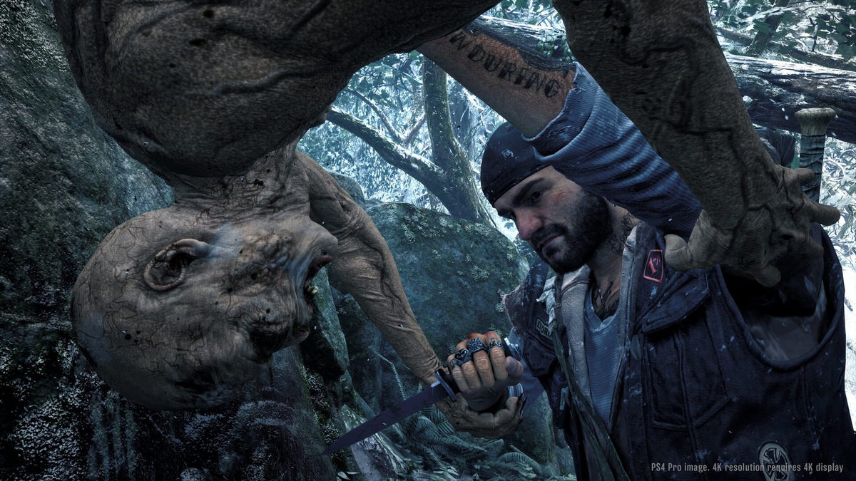 Days Gone (PC) - Steam Klíč – herní záběr (7)