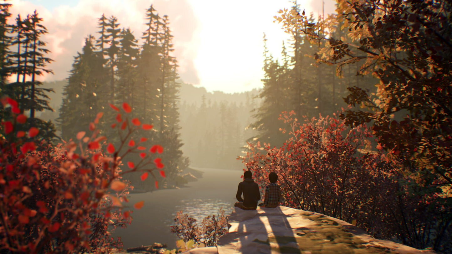 IGDB screenshot: Life Is Strange 2 (1)