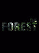 The Forest (PC) - Steam Klíč