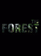 The Forest (PC) - Steam Klíč