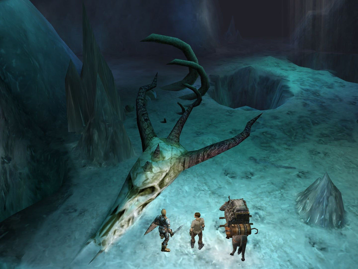 Dungeon Siege (PC) - Steam Klíč – Steam klíč (2)