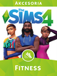 Klucz Origin do gry The Sims 4 Fitness Stuff