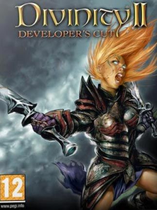 Divinity II: Developer's Cut Klucz GOG.COM