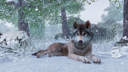 Planet Zoo - Steam - Klíč – Steam klíč (3)