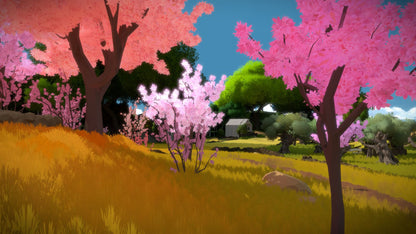 Klucz GOG.COM The Witness