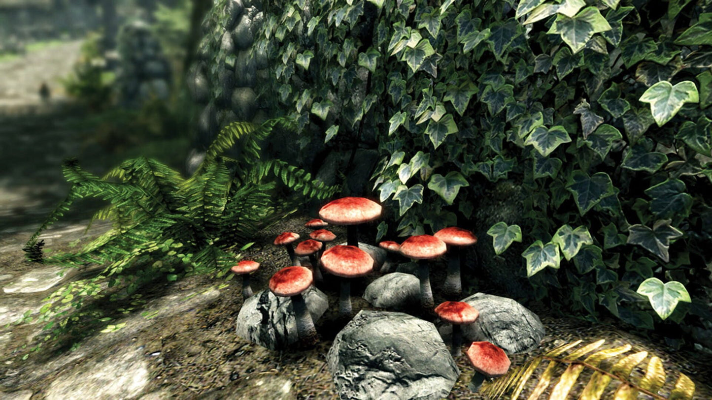IGDB screenshot: The Elder Scrolls V: Skyrim - Special Edition (4)
