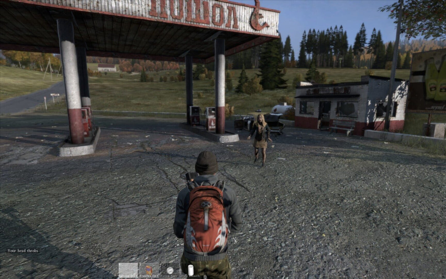 IGDB screenshot: DayZ (4)