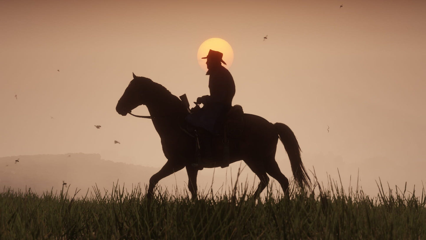 IGDB screenshot: Red Dead Redemption 2 (6)