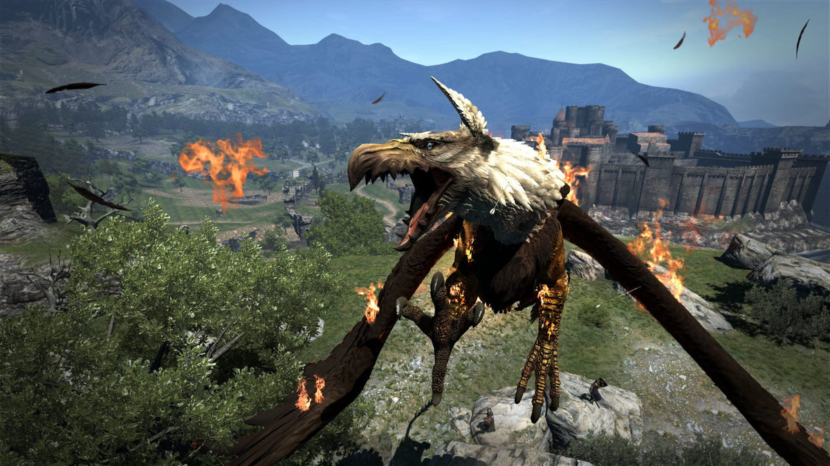 Dragons Dogma Dark Arisen (PC) - Steam Klíč – herní záběr (8)
