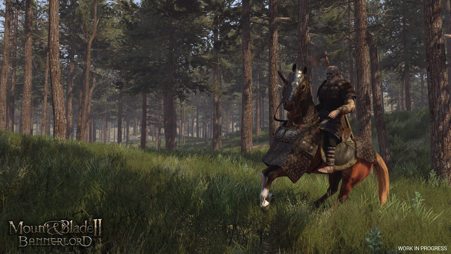 Mount & Blade II: Bannerlord - Steam Klíč – herní záběr (3)