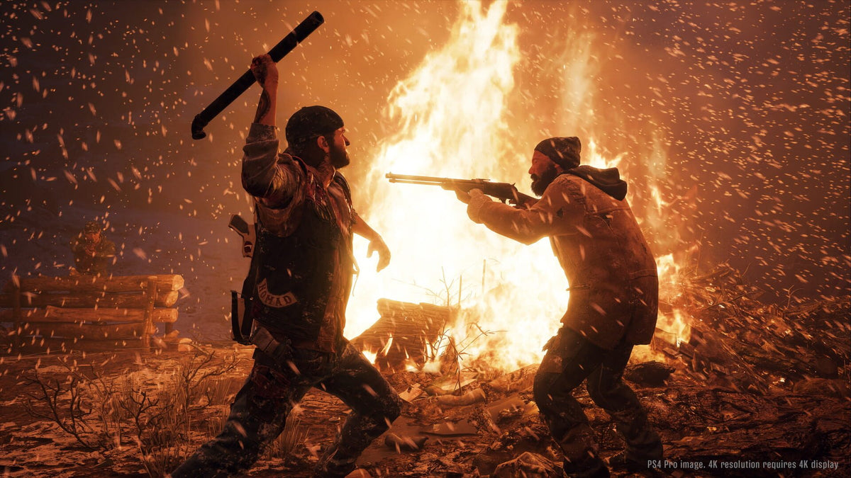 Days Gone (PC) - Steam Klíč – herní záběr (1)