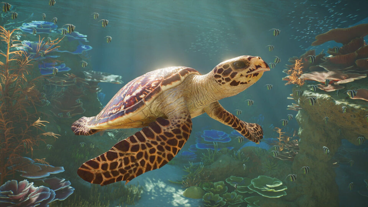 Planet Zoo 2 Deluxe Edition (PC) - Steam Klíč – herní záběr (4)