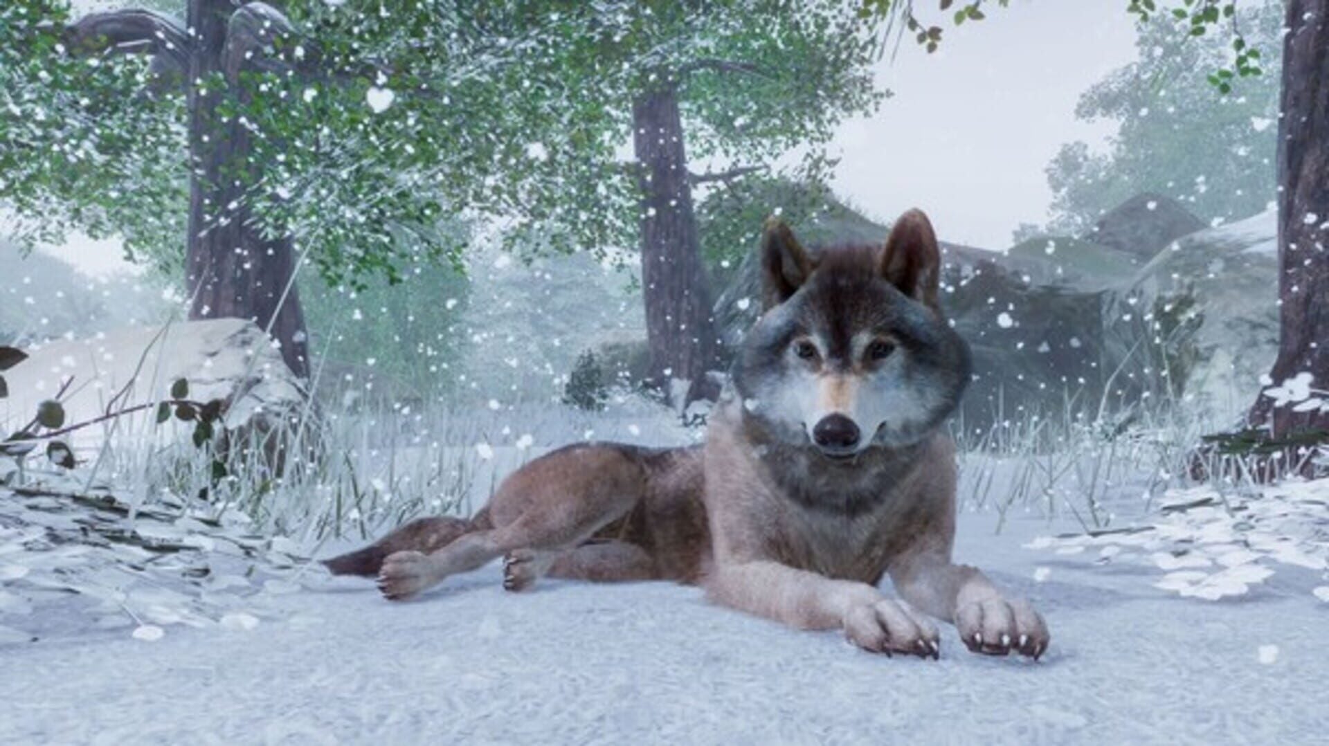 IGDB screenshot: Planet Zoo (3)