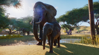 Planet Zoo - Steam - Klíč – herní záběr (5)