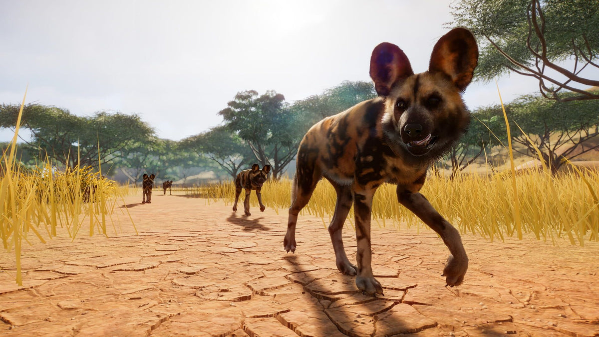 Planet Zoo - Steam - Klíč – herní záběr (1)