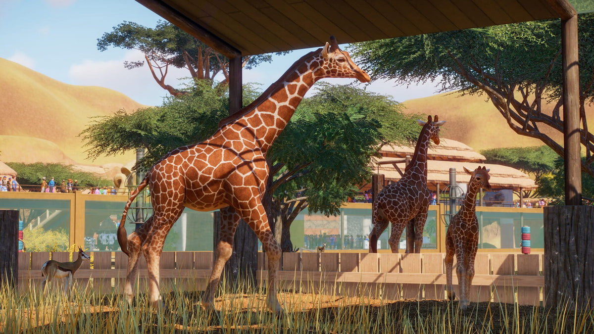 Planet Zoo - Steam - Klíč – herní záběr (2)