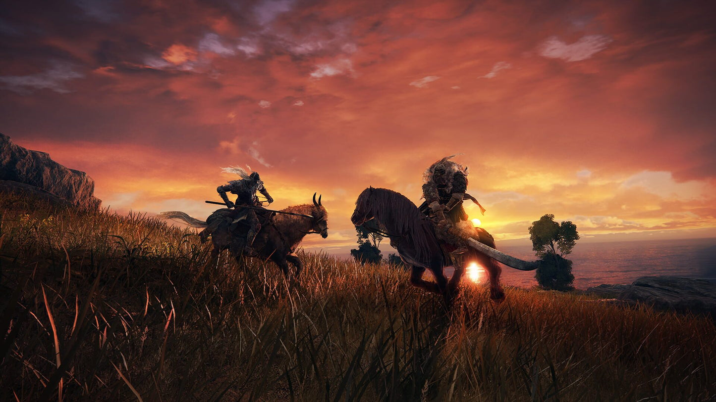 IGDB screenshot: Elden Ring (4)