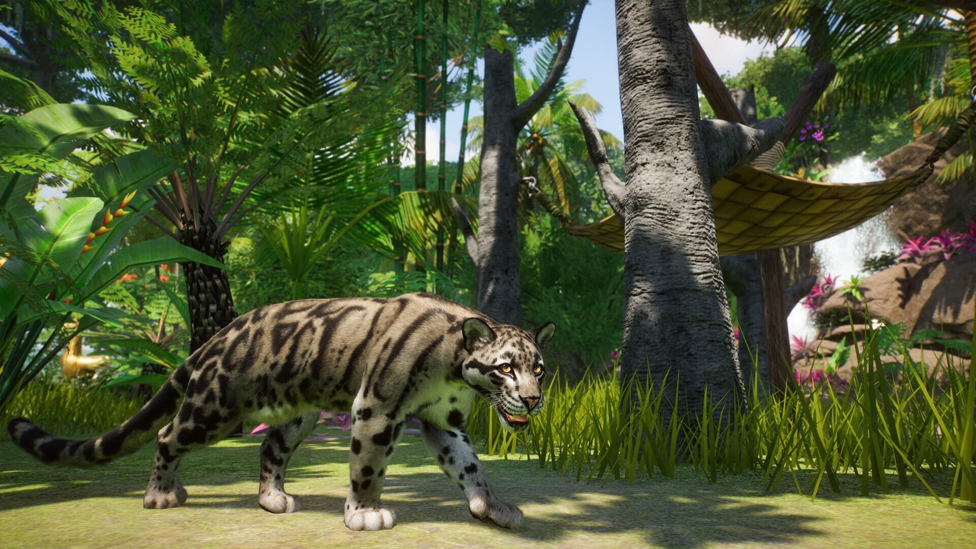 IGDB screenshot: Planet Zoo: Southeast Asia Animal Pack (6)