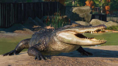 IGDB screenshot: Planet Zoo: North America Animal Pack (5)
