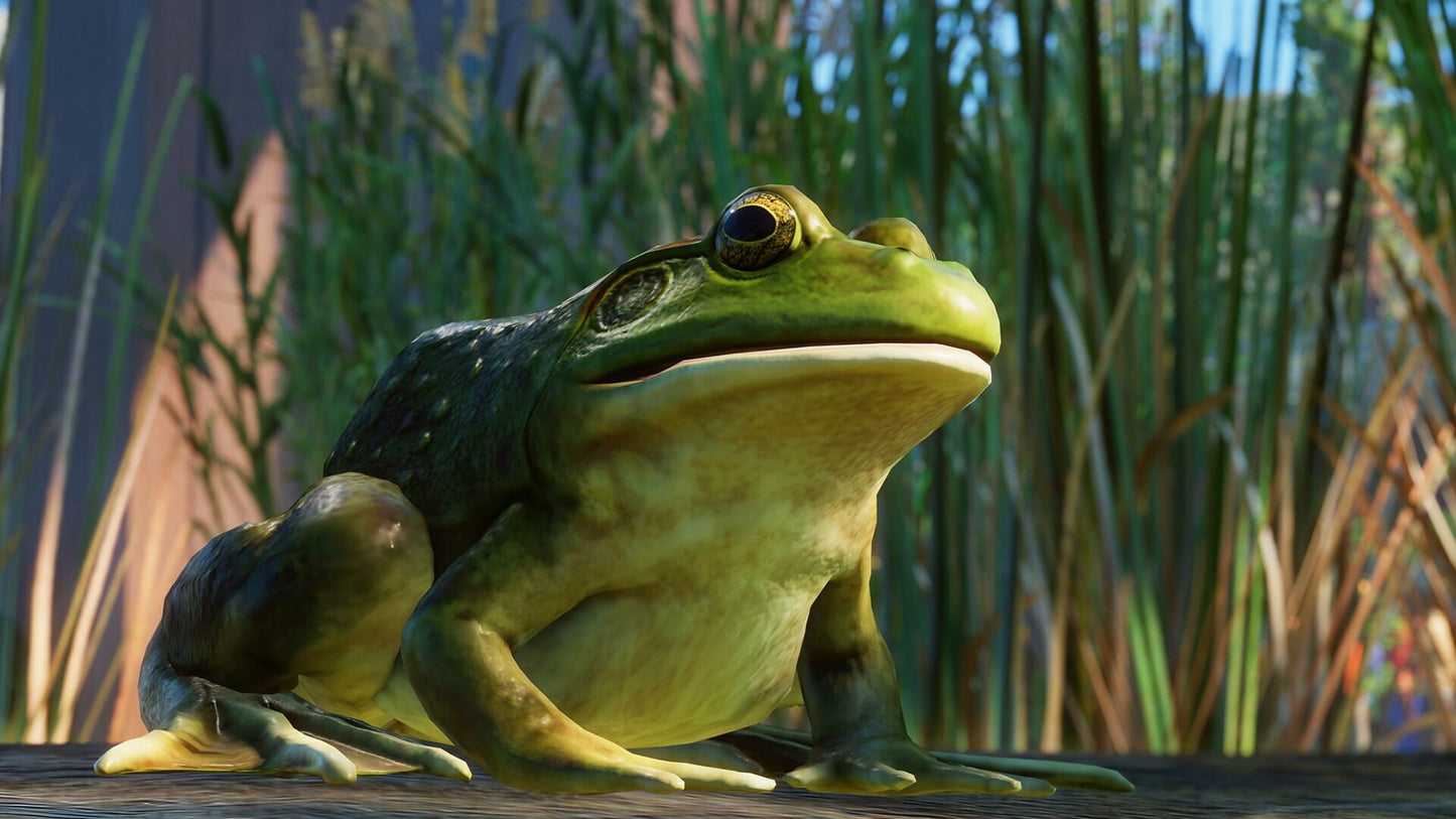 IGDB screenshot: Planet Zoo: North America Animal Pack (8)