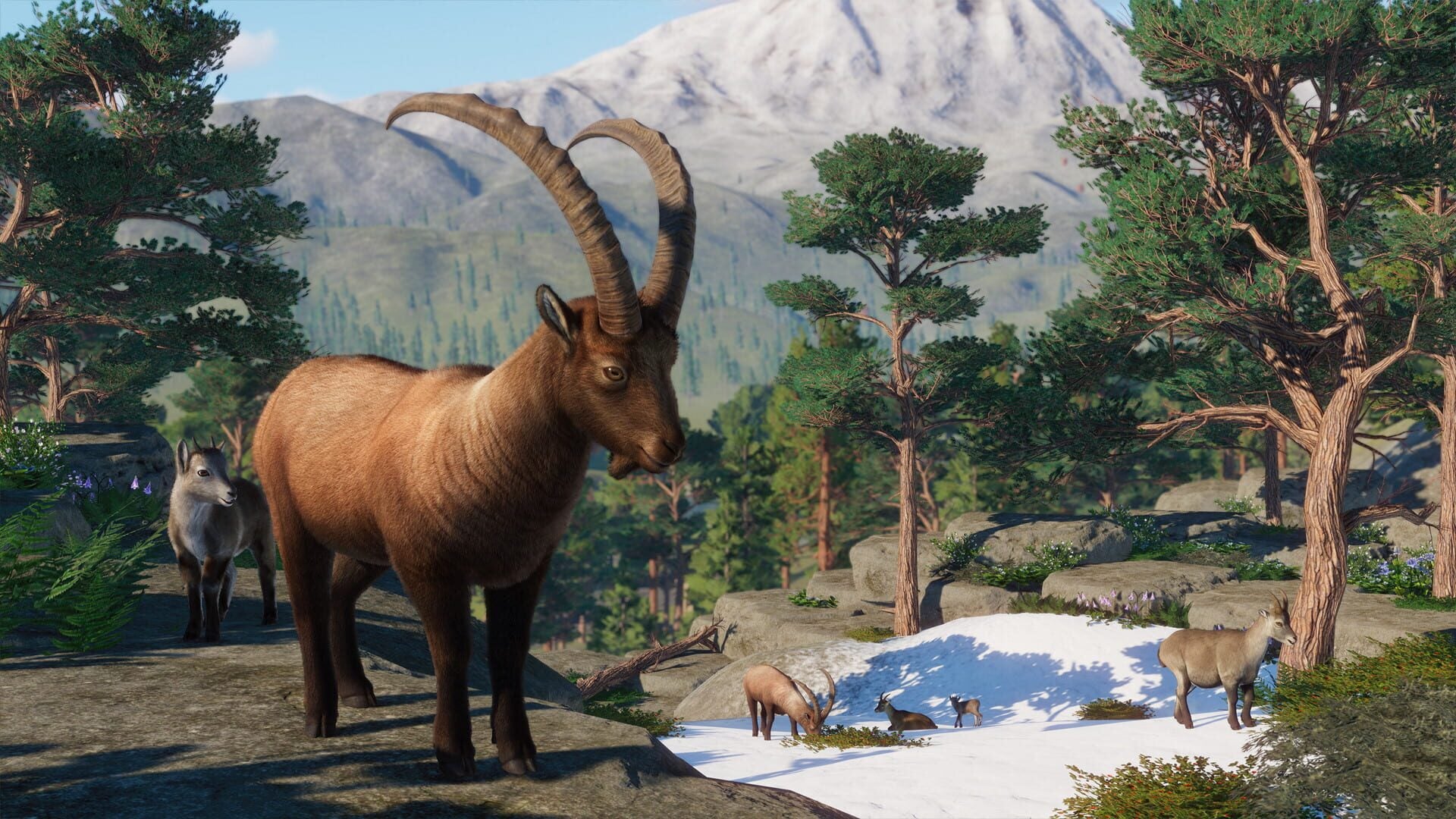IGDB screenshot: Planet Zoo: Europe Pack (8)
