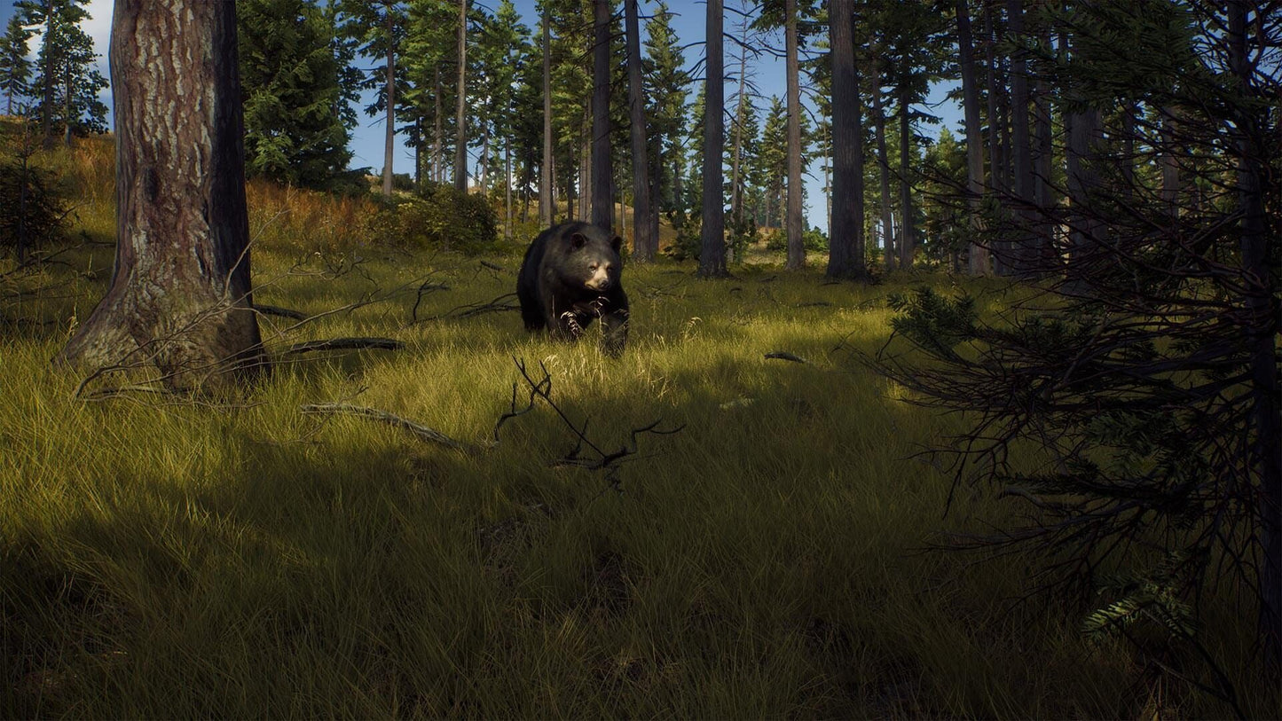 IGDB screenshot: Way of the Hunter (3)