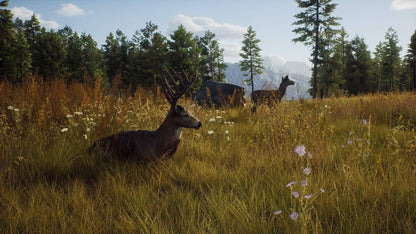 IGDB screenshot: Way of the Hunter (5)