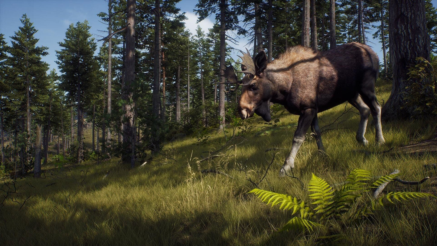 IGDB screenshot: Way of the Hunter (6)
