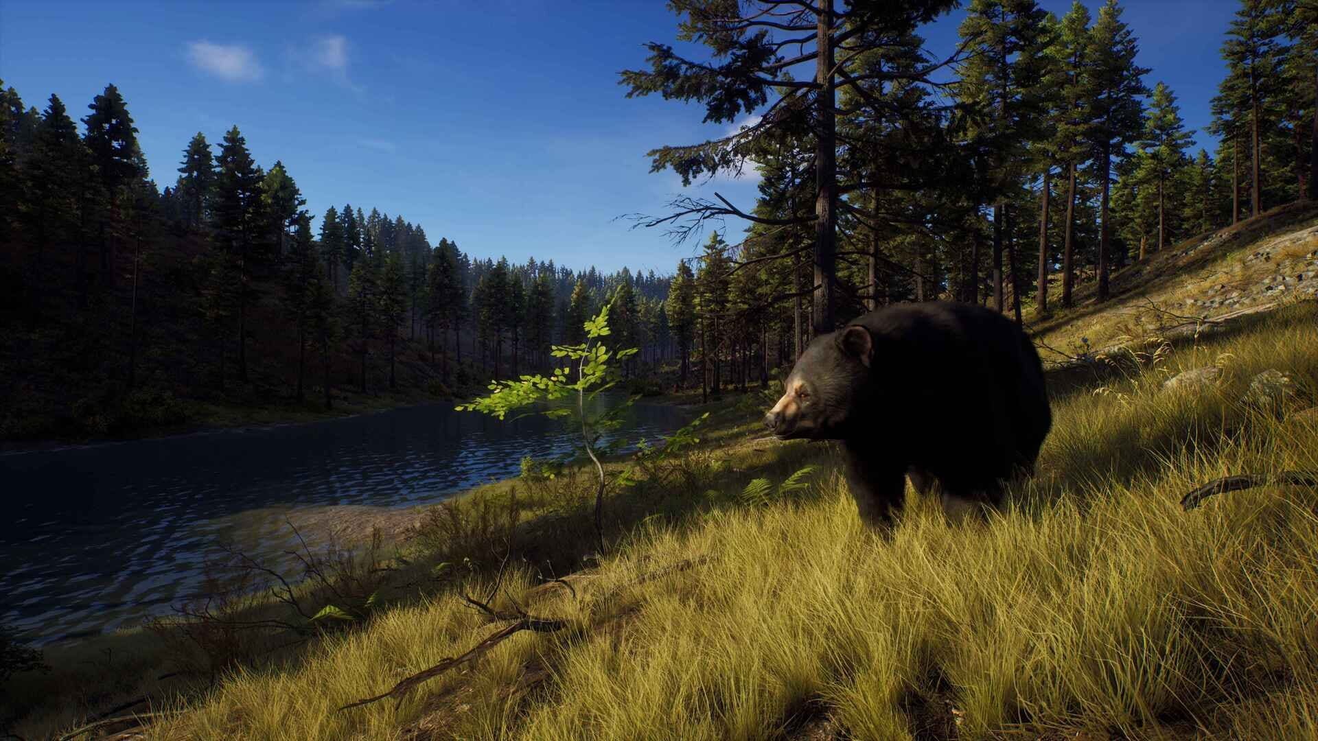 IGDB screenshot: Way of the Hunter: Elite Edition (2)