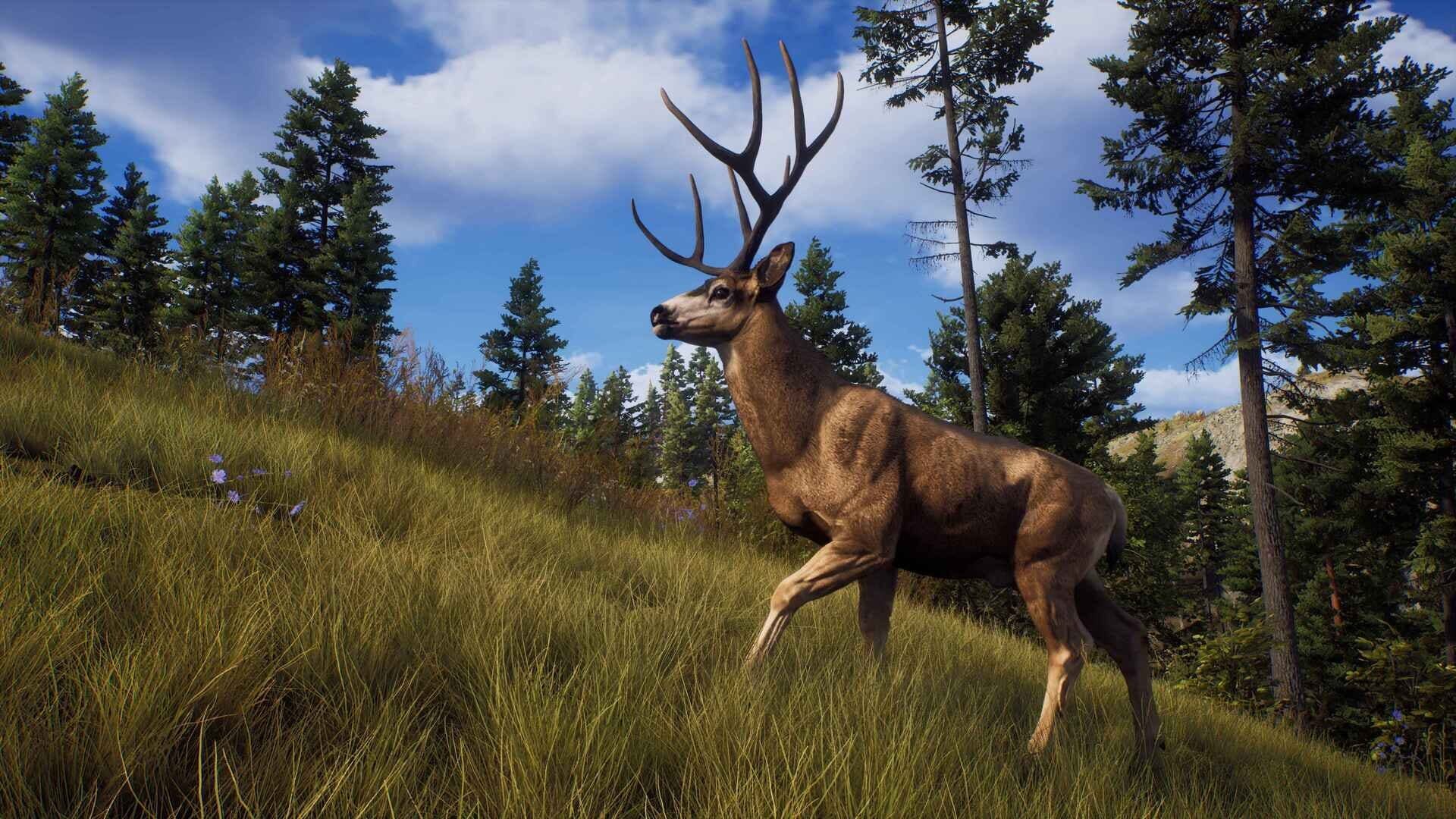 IGDB screenshot: Way of the Hunter: Elite Edition (3)