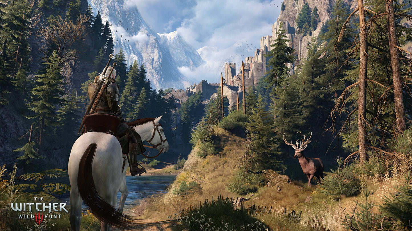 The Witcher 3: Wild Hunt GOG.COM Klíč – herní záběr (5)