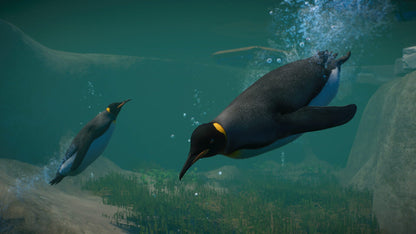 IGDB screenshot: Planet Zoo: Aquatic Pack (2)