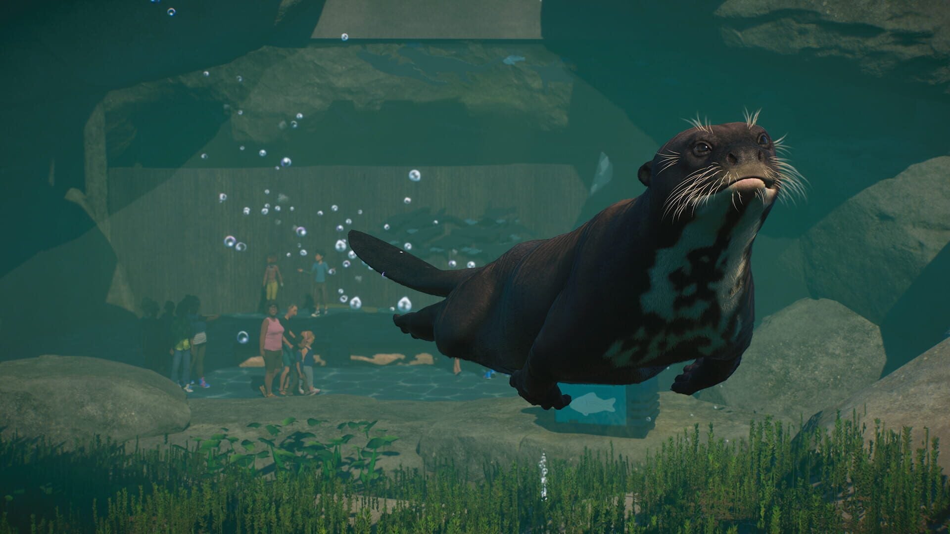 IGDB screenshot: Planet Zoo: Aquatic Pack (5)