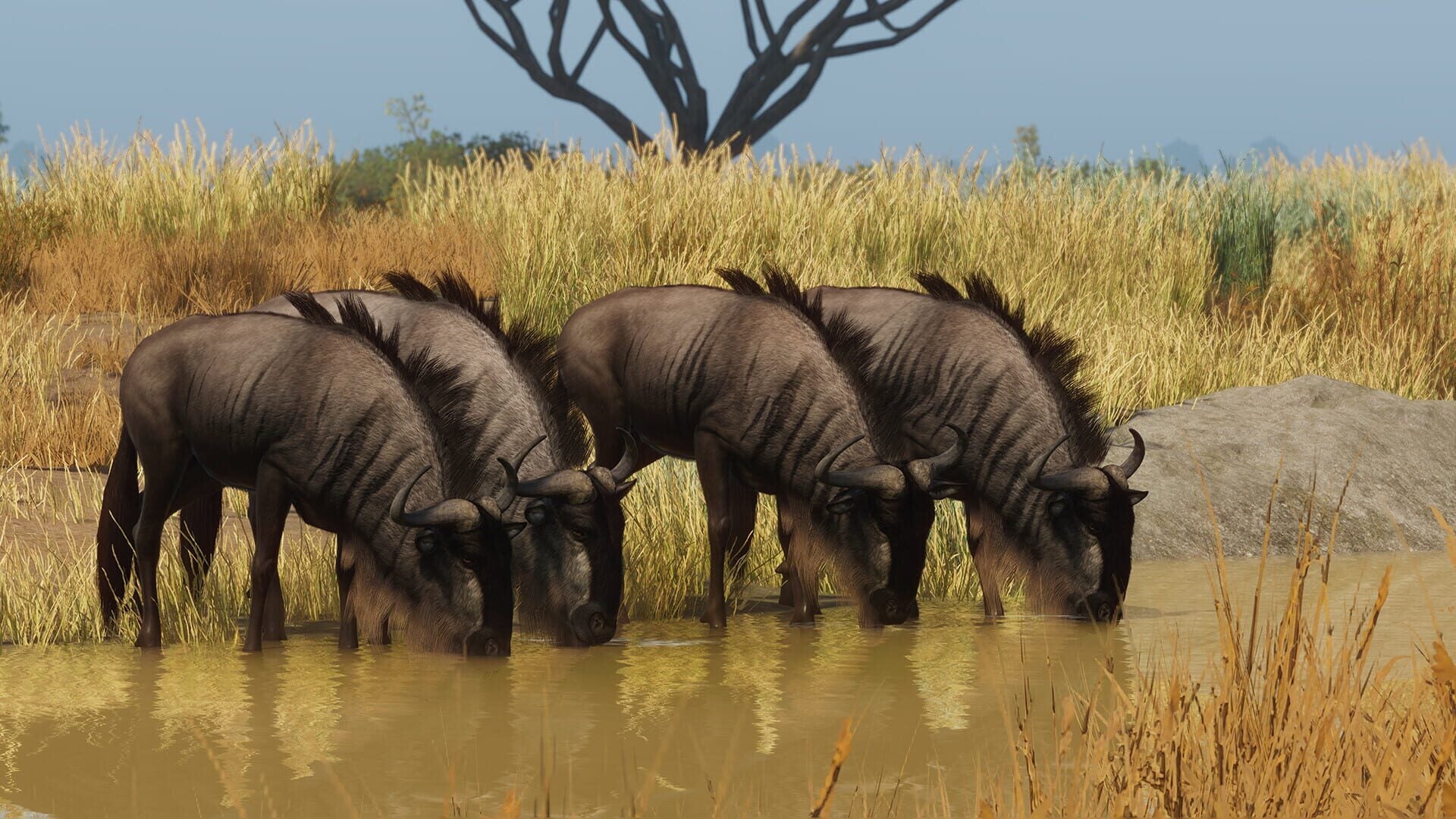 IGDB screenshot: Planet Zoo: Grasslands Animal Pack (2)