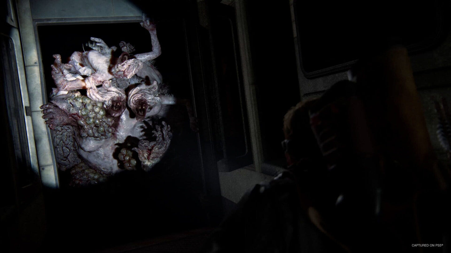 IGDB screenshot: The Last of Us Part II Remastered (1)