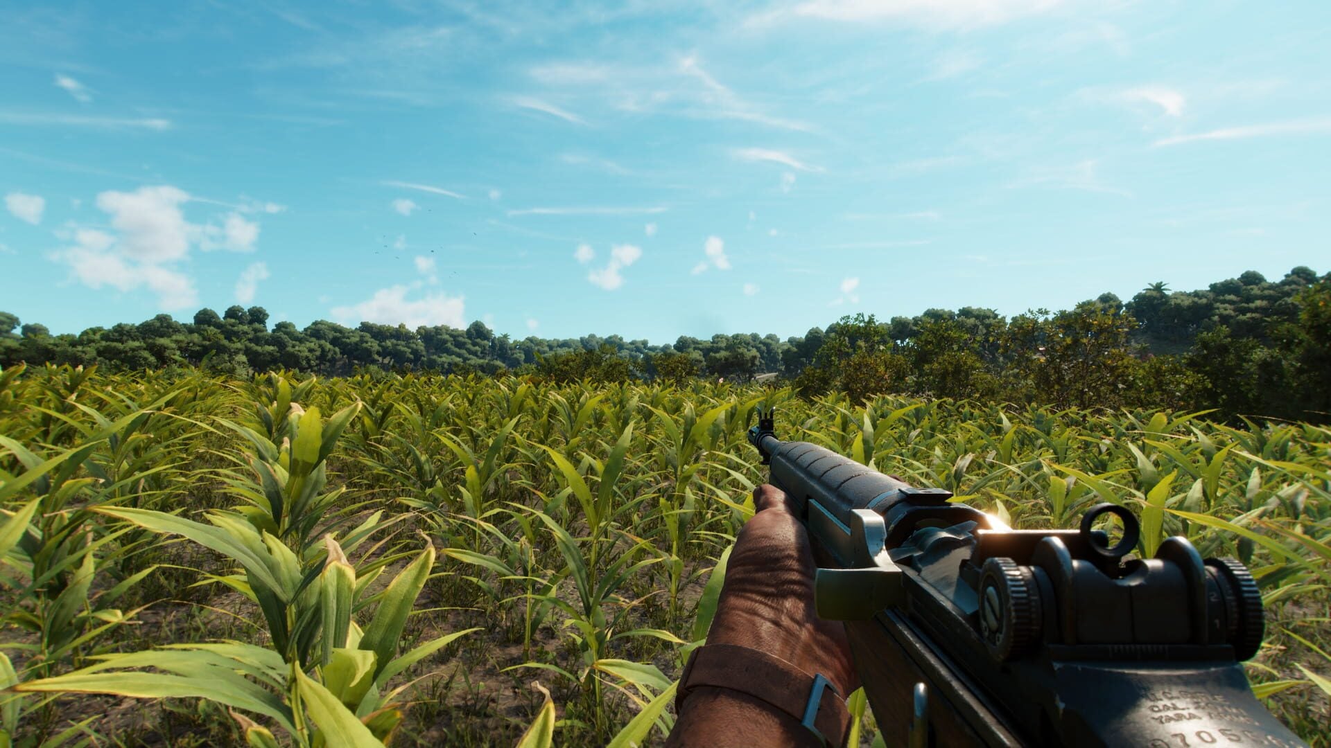 IGDB screenshot: Far Cry 6 (7)